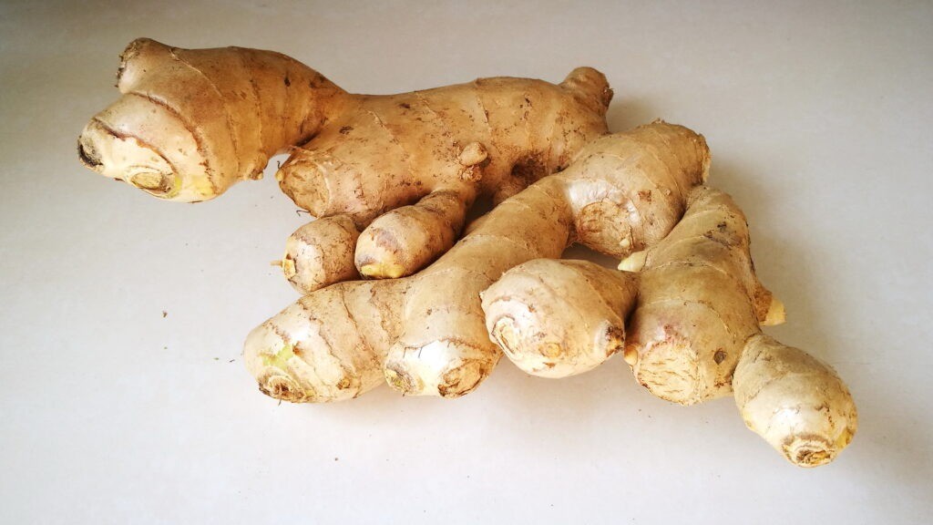 Fresh ginger prepared for packing