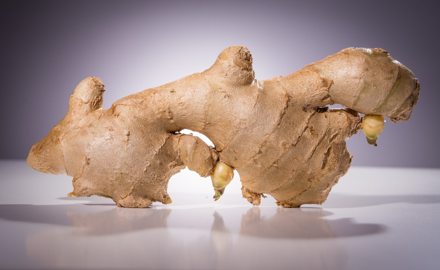 Fresh organic ginger root