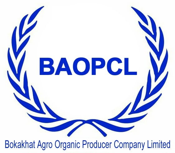 BAOPCL logo